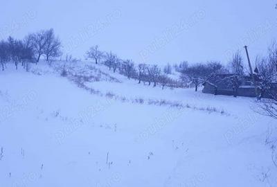 Vand casa 35000 rate 2 ani - 7