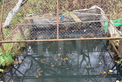 Casă cu 7 camere cu Canalizare în Tohanu Vechi - 6