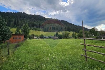 Casa 225 mp, teren intravilan 4822 mp C. Moldovenesc, Suceava - 27