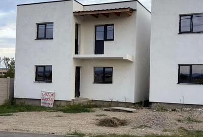 Case de vanzare in Dr Tr Severin, cartier Banovita - 10