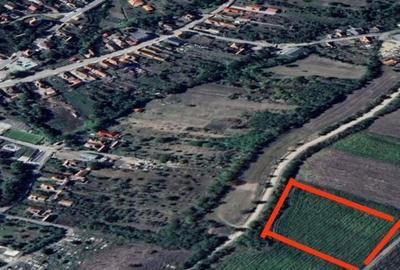 Spațiu comercial, în Sâncraiu - 3