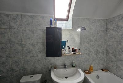 Casă individuală mare, deosebită, D+P+M, Timișoara, Braytim, comision 0% - 17