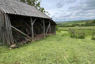 Casă cu 4 camere în Tășad - 4