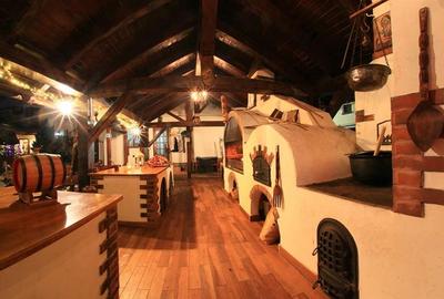 Hotel Bielmann,unicitate si profitabilitate optima in turism,Sanpetru, Brasov - 37