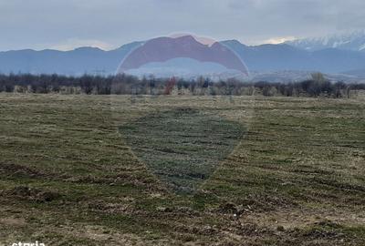 Spațiu comercial, în Pănicel - 2