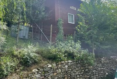 Casă cu 4 camere cu Teren 1500 Mp în Dobra - 9