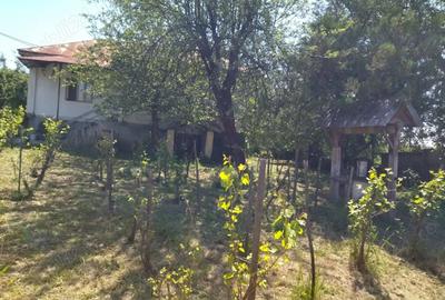 Vand casa batraneasca cu anexe si teren generos - 1