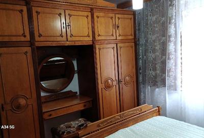 Apartament cu 2 camere, complet renovat, vedere superbă Băile Herculane - 5