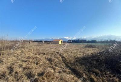 Teren intravilan 3000 mp de vanzare pe Valea Avrigului drum asfaltat - 7