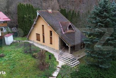 Casă cu 3 camere în Țelna - 8