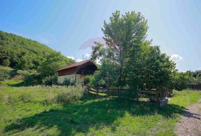 De vanzare Casa de Vacanta cu 3 camere, teren 1146 mp, Budureasa - 2