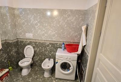 VILA LUX DE VANZARE -PANCIU-STRAOANE - 22