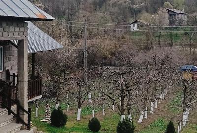 Casă cu Teren 2800 Mp în Boțești - 6