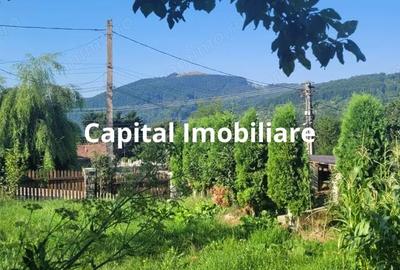 Casă cu Teren 1500 Mp în Valea Doftanei - 6