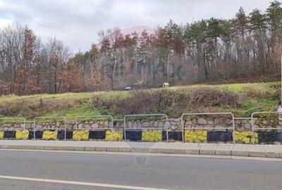 Oportunitate investi?ie B. Felix teren intravilan cu PUZ 1157 mp DN 76 - 7