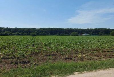 Spațiu comercial, în Ghermănești - 2