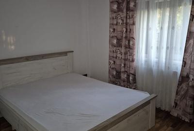 Apartament cu 2 camere semidecomandat în Broșteni - 5