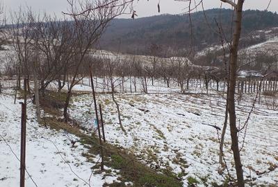 Teren Construcții intravilan de 704 mp, în Breazu - 4