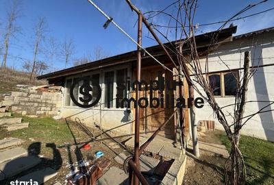 Casă cu 2 camere cu Teren 818 Mp în Bucovăț - 12