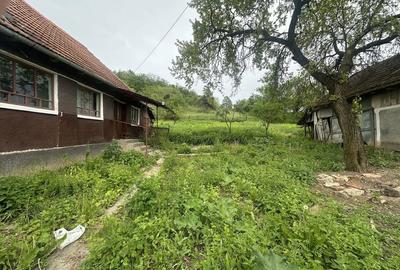 Spațiu comercial, în Brusturi - 5