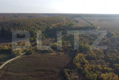 Casă cu 2 camere cu Teren 1000 Mp în Valea - 7