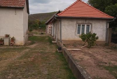 Casă cu 3 camere cu Teren 500 Mp în Central - 5
