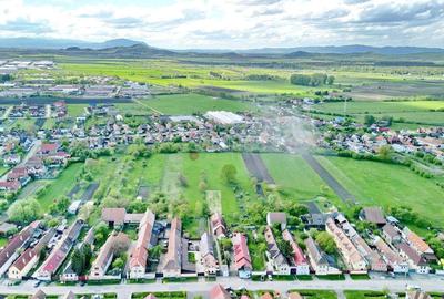 Teren Construcții intravilan de 4400 mp, în Prejmer - 17