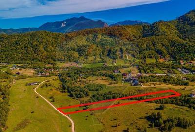 Teren Rasnov -Glajerie, Poiana Velicanului, 1447mp, la st... - 5