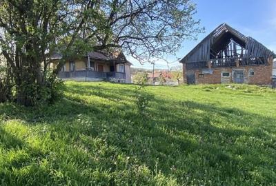 Teren cu casa demolabila Valea Chintaului 2000 mp extravilan - 6