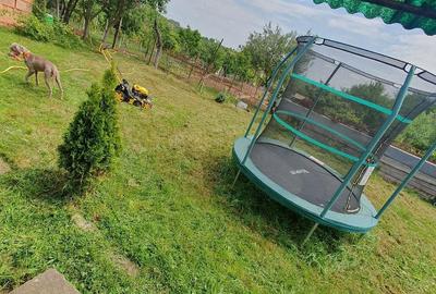 Casă cu 2 camere cu Teren 926 Mp în Murani - 1