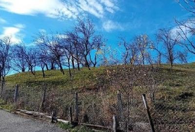 Teren de 2894 mp, în Vistieru - 4