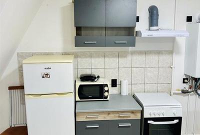 Apartament cu 2 camere semidecomandat, mobilat în Vasile Aaron - 4