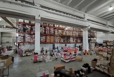 De vanzare teren intravilan in Oncea - 5