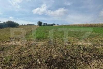 Teren de 2500 mp, în Central