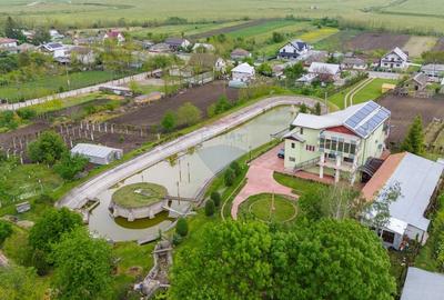 Casa / Vila cu 10 camere, de vanzare. Todireni, Botosani. - 6