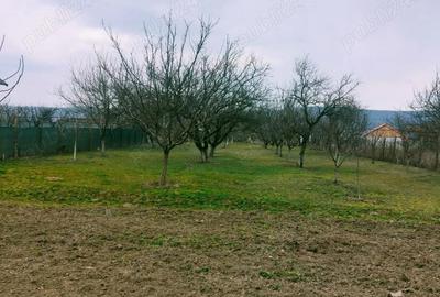 Casă cu 2 camere cu Teren 1983 Mp în Cândești - 5