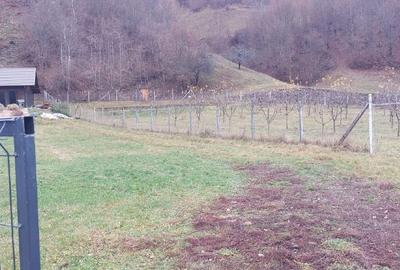 Casă de vacanță la munte – liniște totală, fără vecini - 16