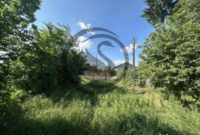 Teren de 11000 mp, în Ghirdoveni - 6