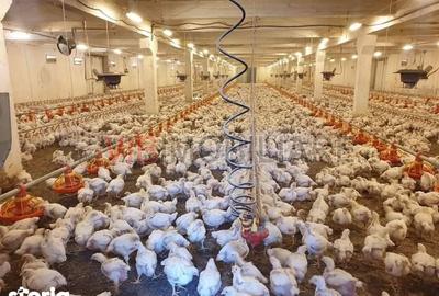 Teren de 35000 mp, în Funcționarilor - 9