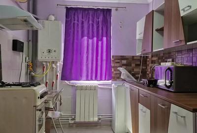 Apartament cu 2 camere decomandat în Brotăcei - 1