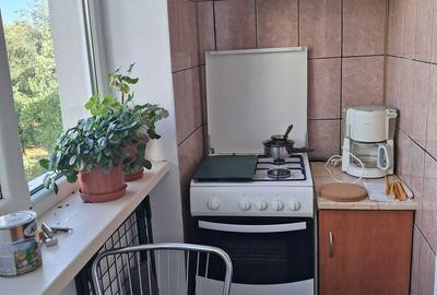 3 camerePiata Muncii Campia Libertatii - pet friendly - 6