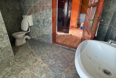 Casă cu 7 camere cu Teren 8286 Mp în Copalnic - 7