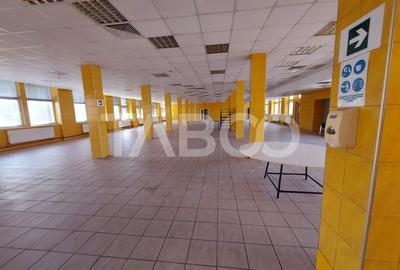 Spatiu comercial de inchiriat 850 mpu lift industrial Terezian Sibiu - 2