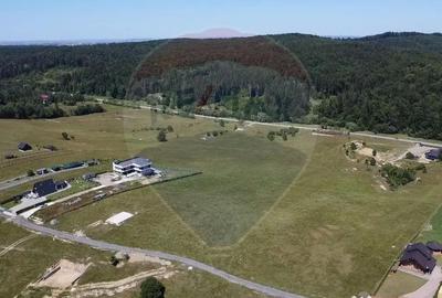 Teren de 3322 mp, în Paltin - 2