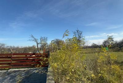 Vanzare  1400mp teren imprejmuit 2 loturi pt casa Adancata - sub padure - 12