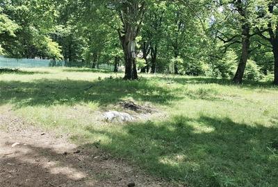 Teren 4713 mp investitie Imobiliara | Poiana Brasov - 11