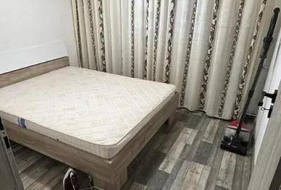 2 Dormitoare / Pantelimon / Priveliste Lac/ PET FRIENDLY - 11