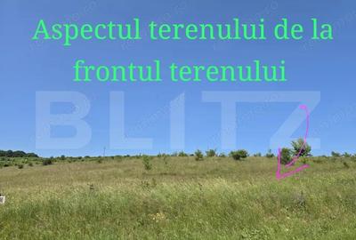 Teren de 1100 mp, în Sălicea - 6