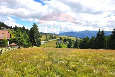 Teren de vis in Fundata 1934mp sau 3868mp, la inal?im... - 1