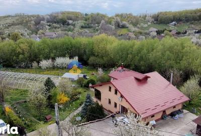Casă cu 4 camere cu Teren 8807 Mp în Girov - 4